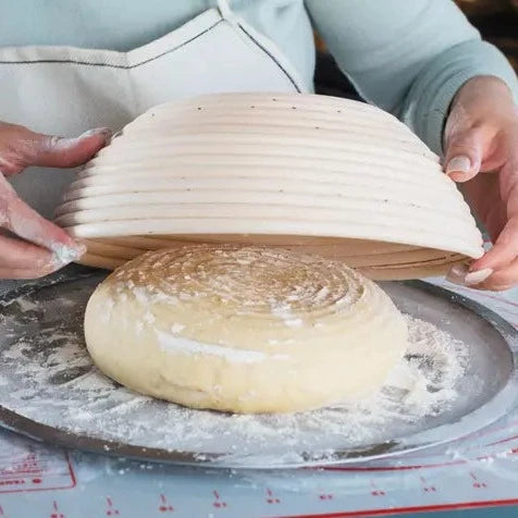 Sourdough Starter Culture, San Francisco Style