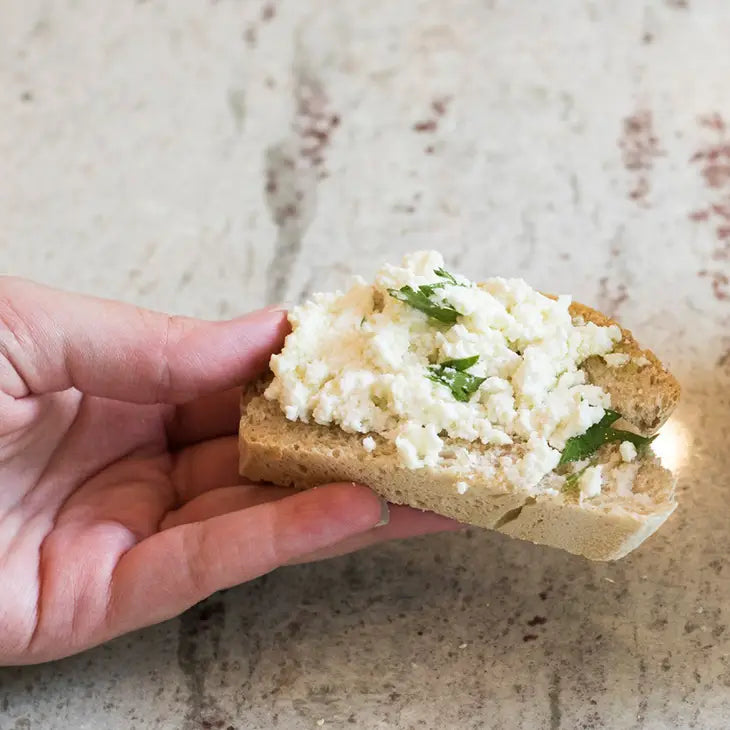 Mozzarella and Ricotta Cheese Making Kit